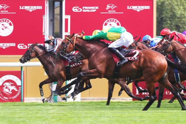 Yes Zara Arrivée Quinté+ Pmu Qatar Prix de la Reine Marguerite - Presenté Par le Parisien à Longchamp