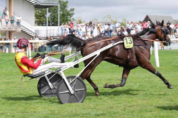 Just De L'oison Quinté+ Pmu Finale du Trophée Vert - Prix V And B à Craon