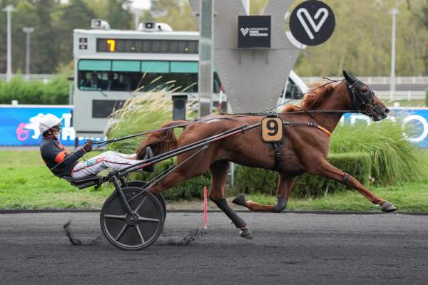 OTTO D'IQUAINE