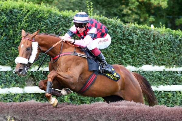 NEIL DU SEUIL