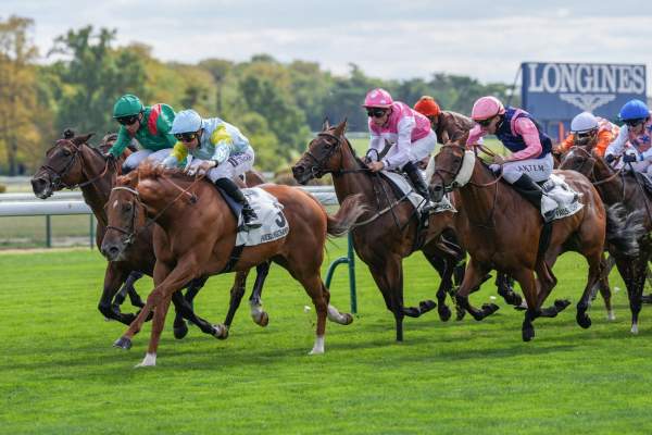 Alem Arrivée Quinté+ Pmu Prix Carrus à Longchamp