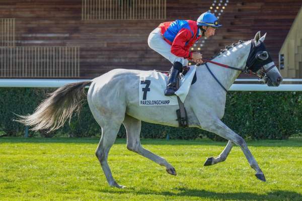 MAJESTE DES CLAS