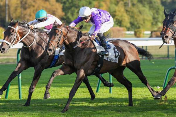 FORCEFULL