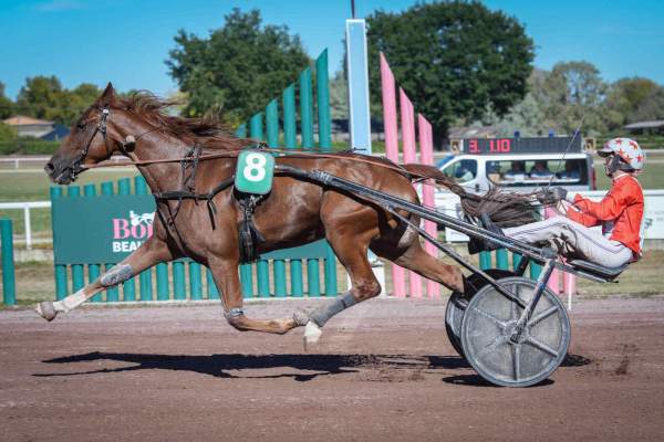 MAGIQUE REVAT