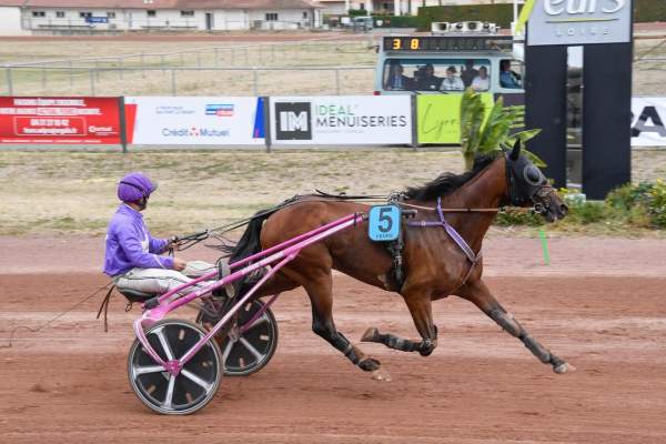 MYSTERE DES MARES
