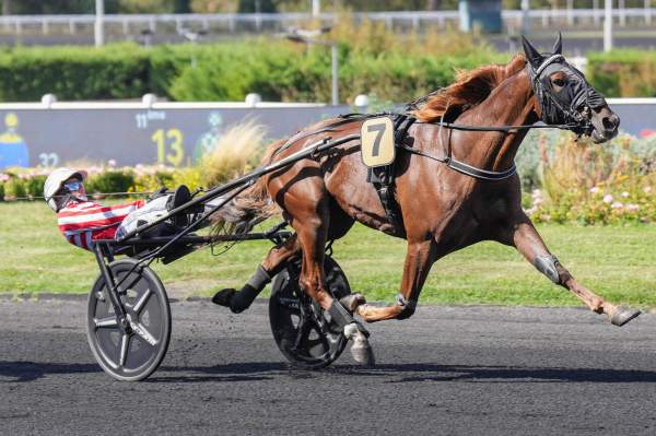 Fawaz Mil Arrivée Quinté+ Pmu Prix De Mehun-Sur-Yevre à Paris-Vincennes