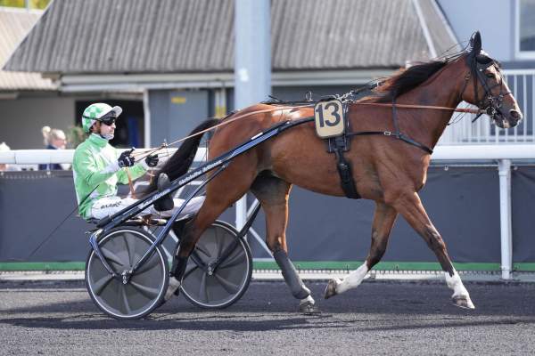 ELFO BREED