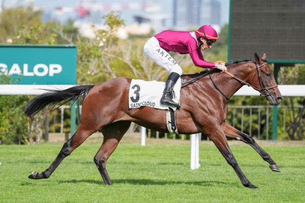 Al Hamaad