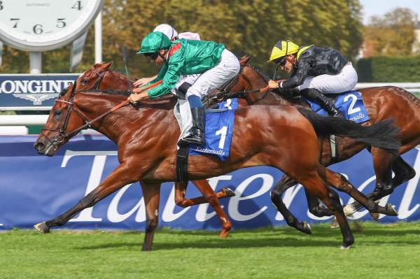 Zakkan Arrivée PMU Prix des Chênes - Tattersalls - Fonds Européen de l'Elevage à Chantilly