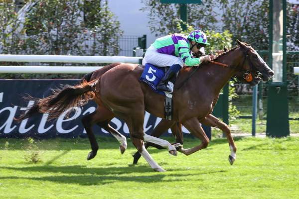 Primetime Emmy Arrivée PMU Prix Eclipse - Tattersalls - Fonds Européen de l'Elevage à Chantilly