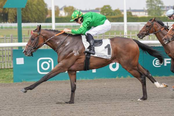 Anssio Arrivée Quinté+ Pmu Prix De La Chambre Du Duc à Chantilly