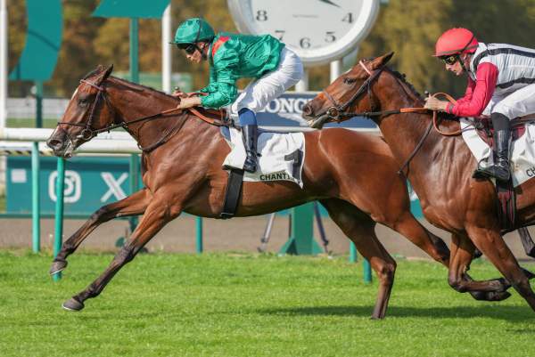 Shandiyana Arrivée pmu Prix de Toutevoie à Chantilly