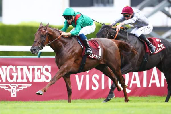 Varandir Arrivée pmu Qatar Prix Niel (Gr.II) à Longchamp